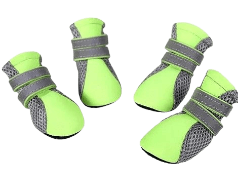 Zapatos para perros (X1341)