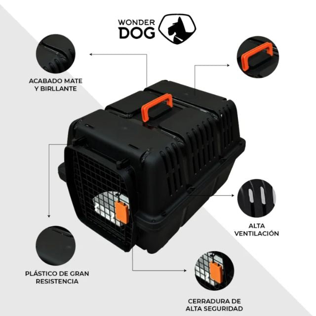 Transportadora Plastica Negra