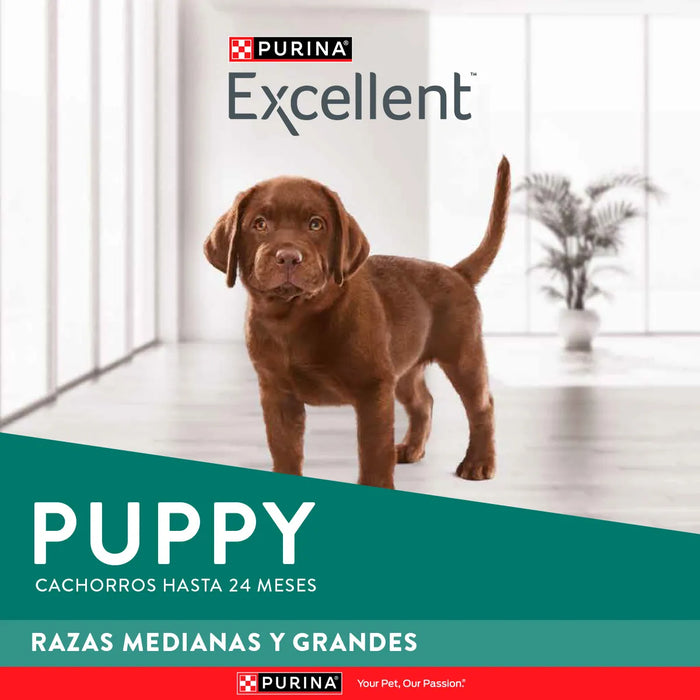 Purina Excellent Cachorro Razas Medianas y Grandes