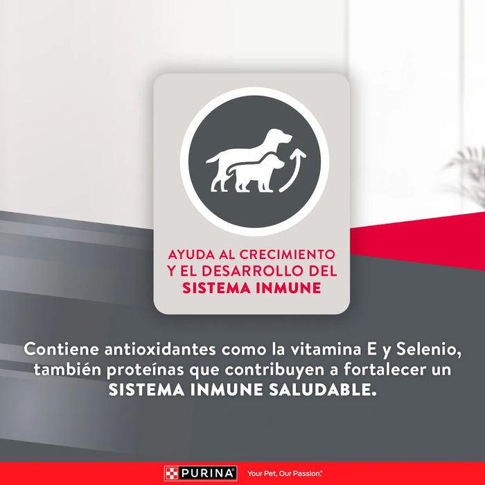 Purina Excellent Cachorro Razas Medianas y Grandes