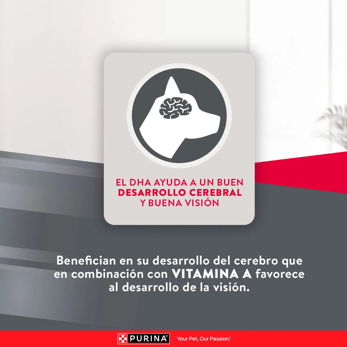 Purina Excellent Cachorro Razas Medianas y Grandes