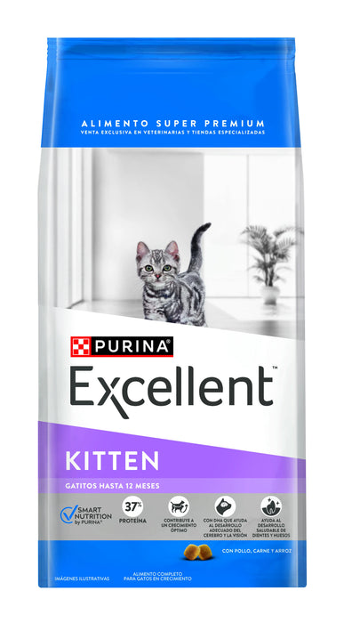 Excellent Gatitos