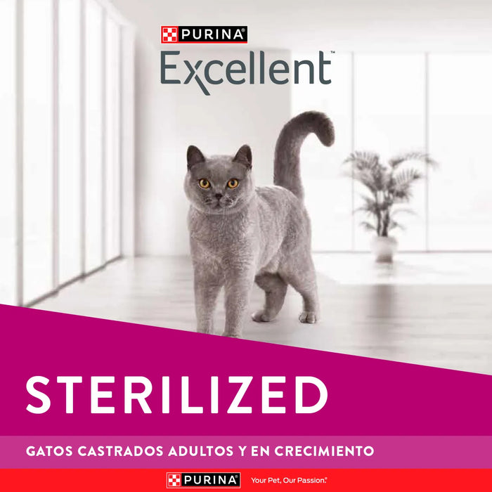 Excellent Gatos Esterilizados