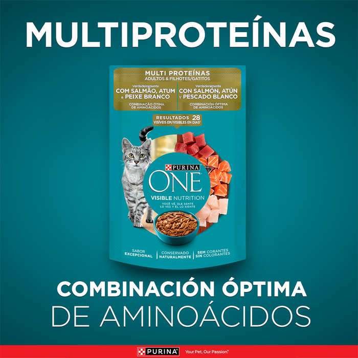 Purina ONE® multi proteínas gatos y gatitos de salmón, atún y pescado