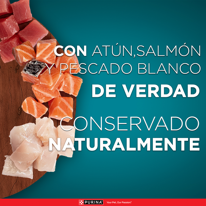 Purina ONE® multi proteínas gatos y gatitos de salmón, atún y pescado