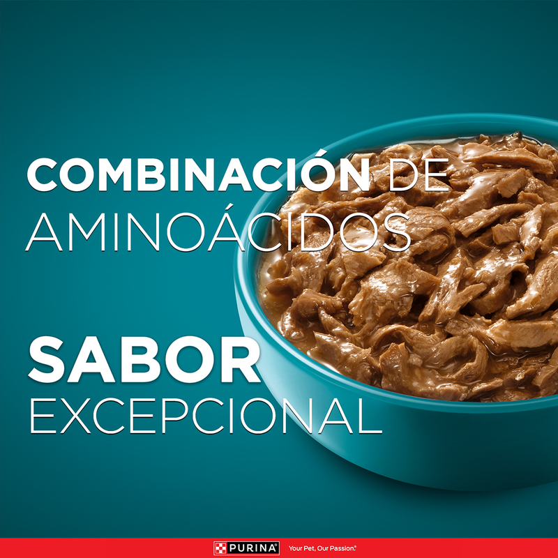 Purina ONE® multi proteínas gatos y gatitos de salmón, atún y pescado