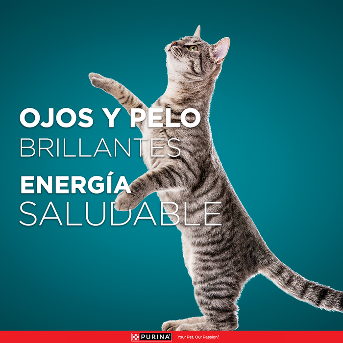 Purina ONE® multi proteínas gatos y gatitos de salmón, atún y pescado