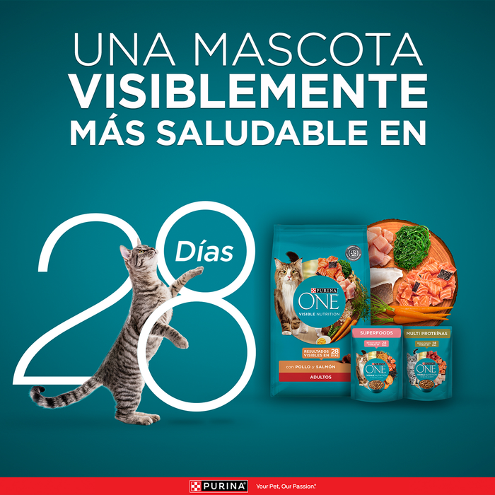 Purina ONE® multi proteínas gatos y gatitos de salmón, atún y pescado