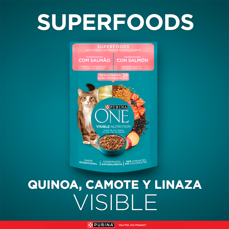 Purina ONE® Superfoods salmón gatos adultos y esterilizados