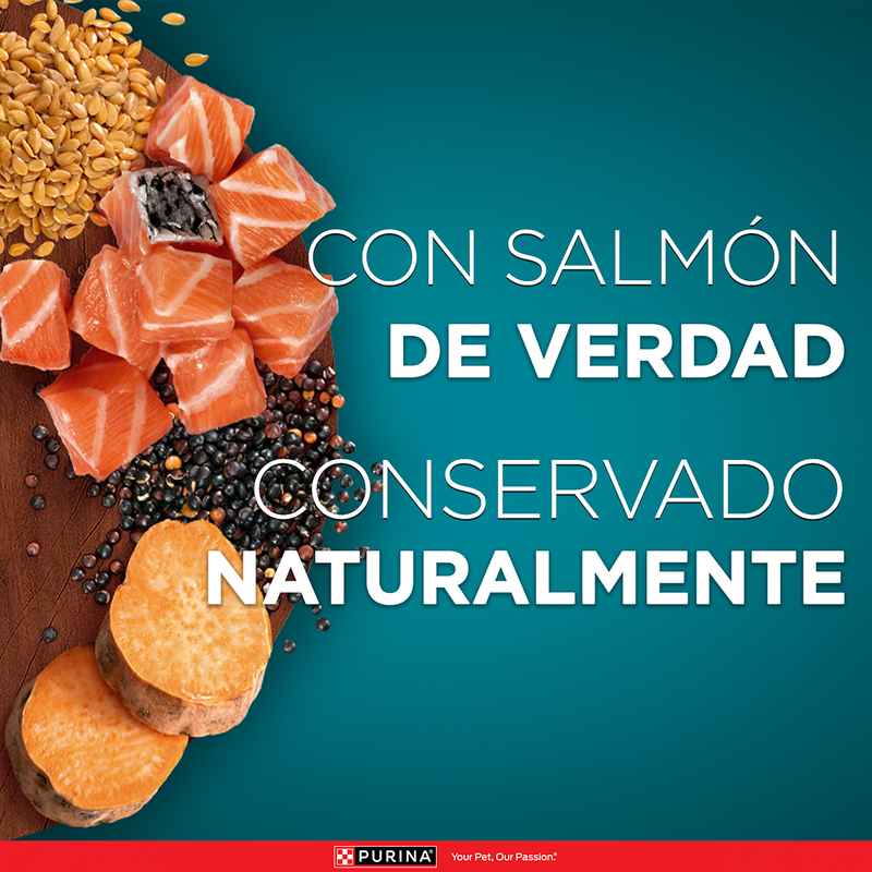 Purina ONE® Superfoods salmón gatos adultos y esterilizados