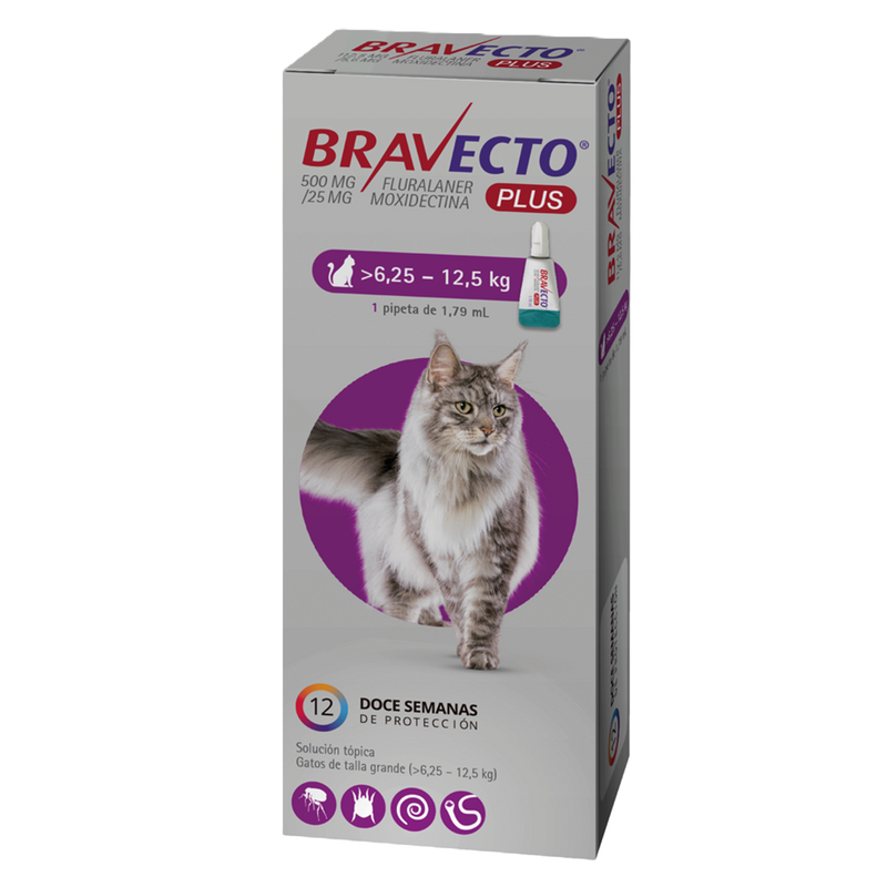 Bravecto® PLUS Gatos 500 mg (6.25 - 12.5 Kg)