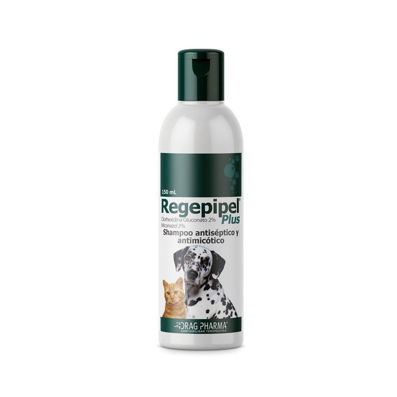 Shampoo Regepipel Plus