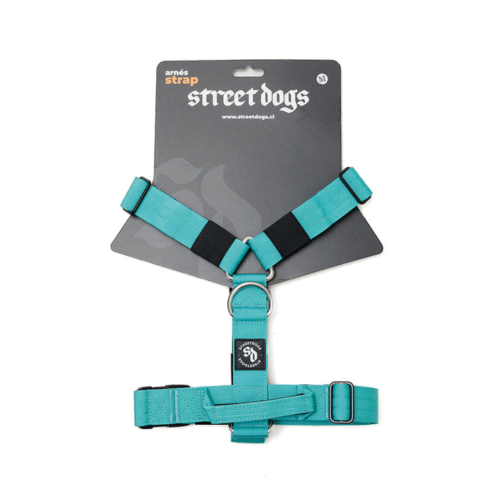 Arnes Strap Turquese