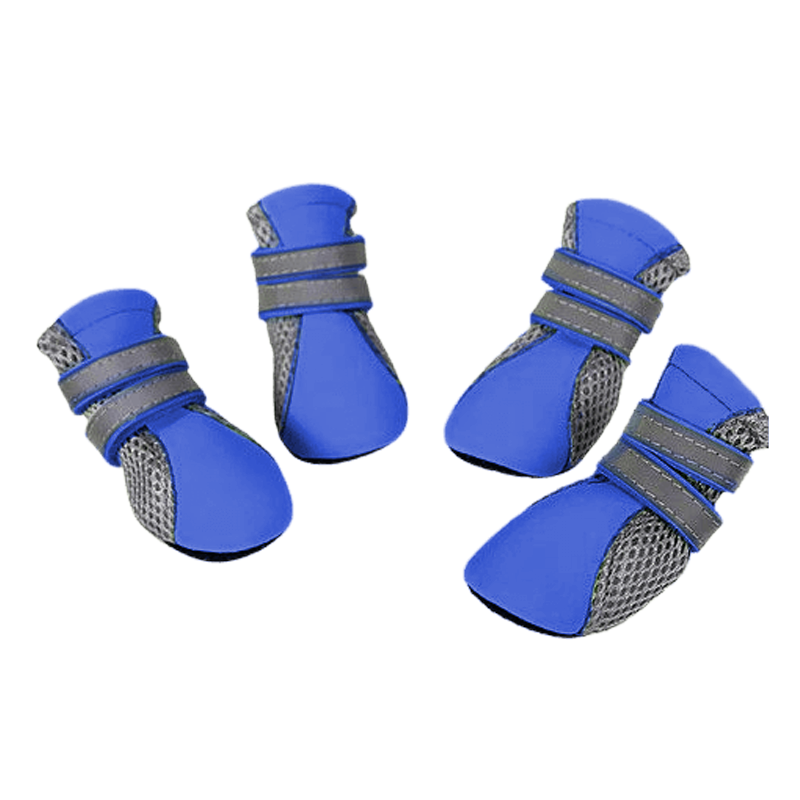 Zapatos para perros (X1341)
