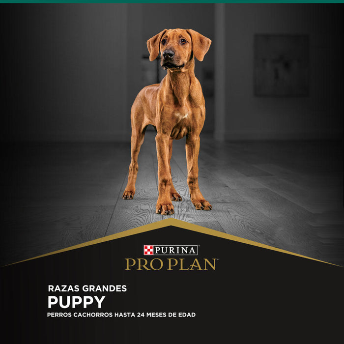 Pro Plan® Puppy Razas Grandes
