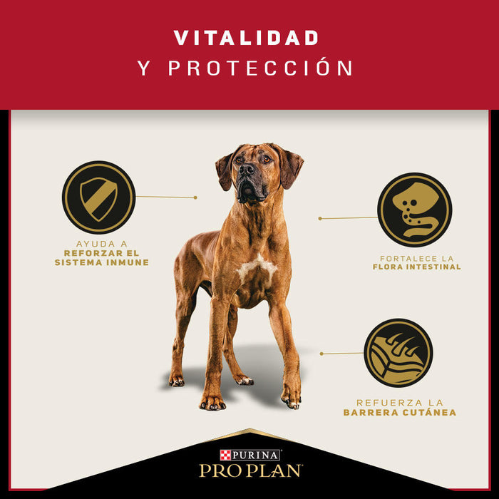 Pro Plan® Adulto Razas Grandes