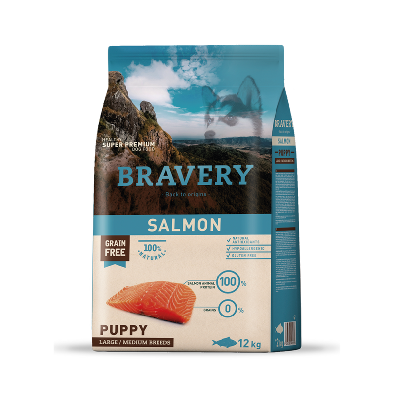 Bravery Large/Medium Puppy Salmon