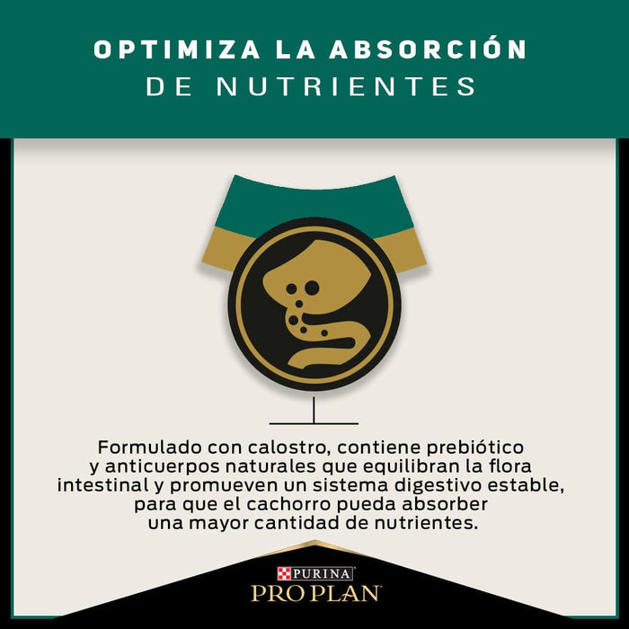 Pro Plan® Puppy Razas Medianas