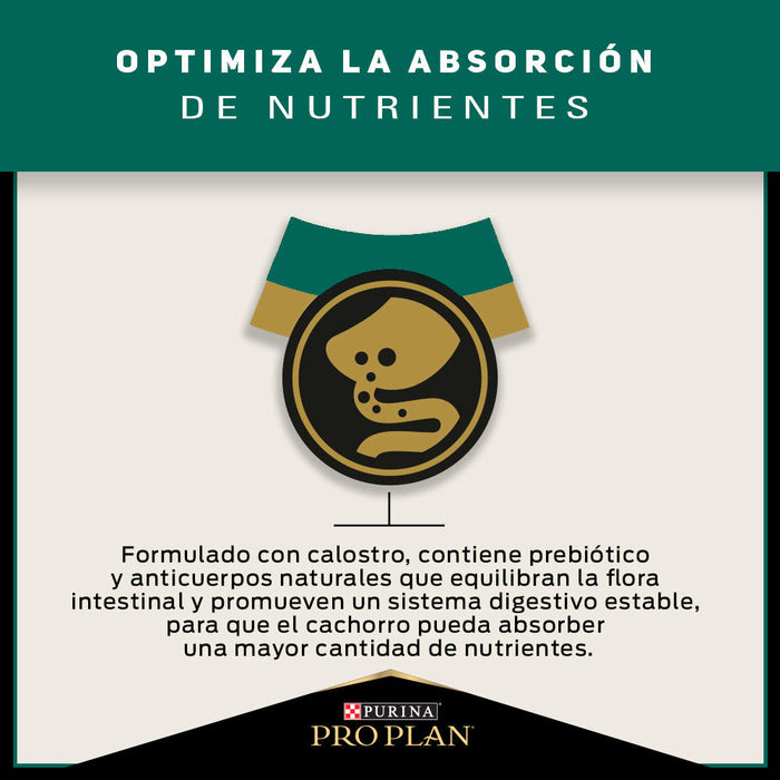 Pro Plan® Puppy Razas Grandes