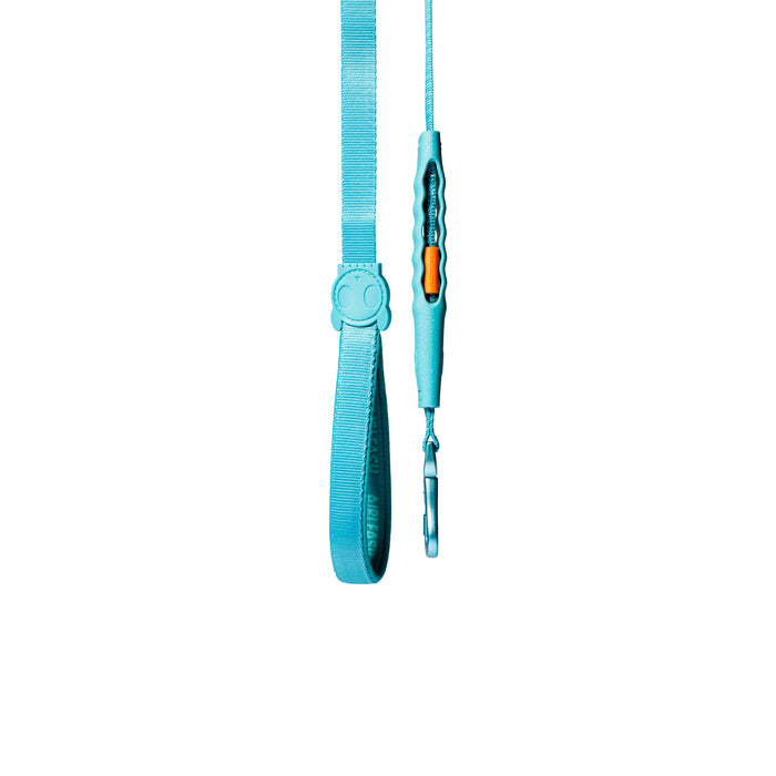 Airleash Blue