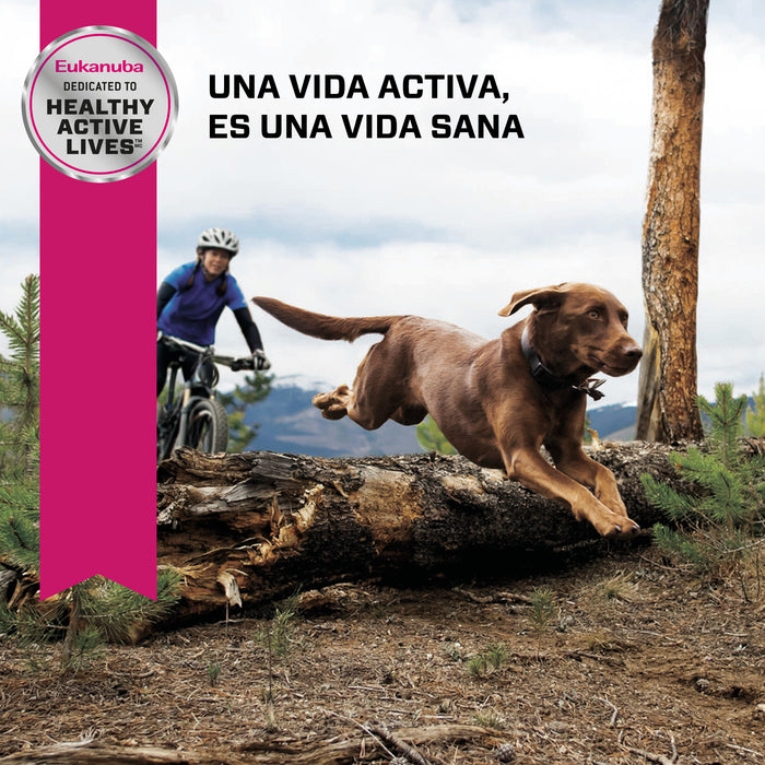 Eukanuba™ Senior Razas Grandes