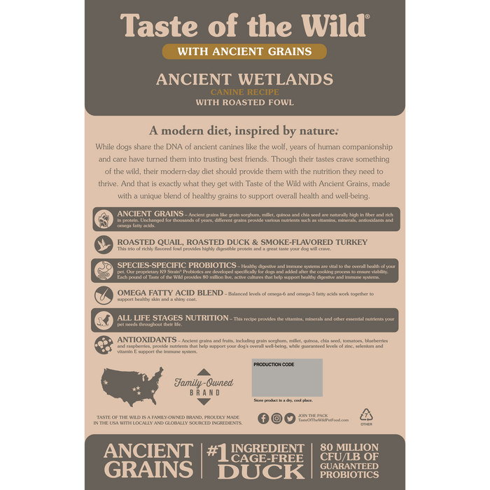 Ancient Wetlands