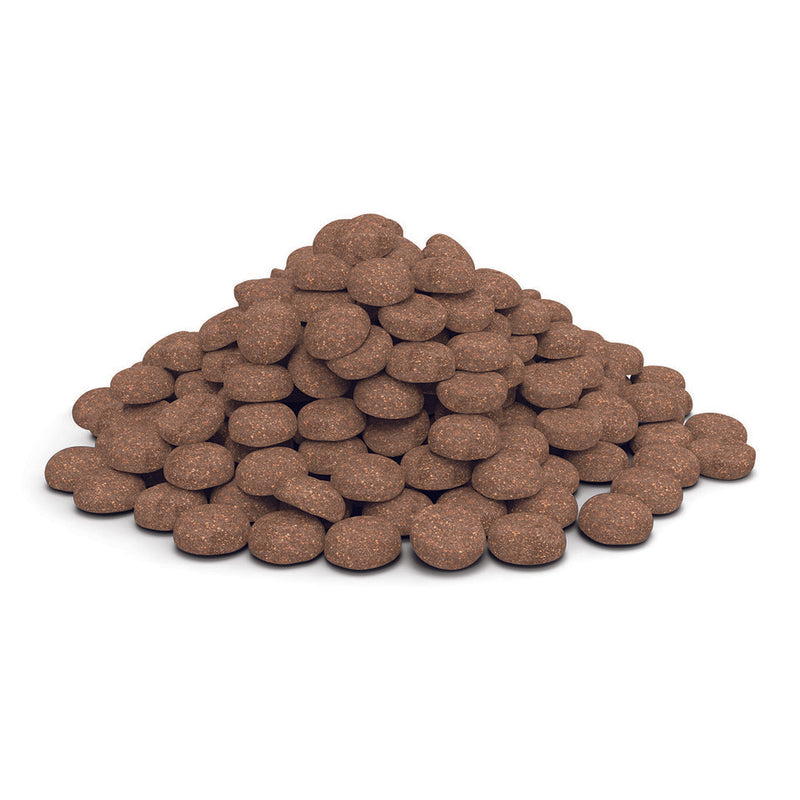 Veterinary HPM™ Dog Senior Large & Medium