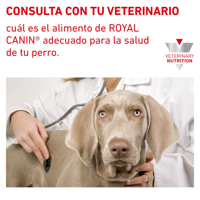 Veterinary Hydrolyzed Protein